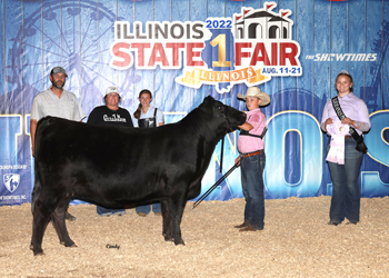 Reserve Senior Champion Female