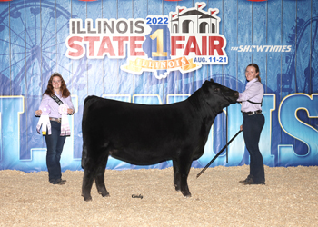 Reserve Late Junior Champion Heifer