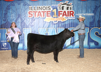 Reserve Senior Heifer Calf Champion