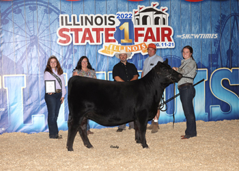 Intermediate Champion Heifer
