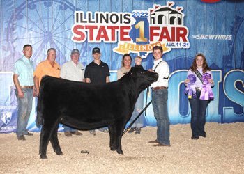 Senior Heifer Calf Champion