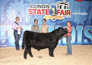 Reserve Senior Bull Calf Champion