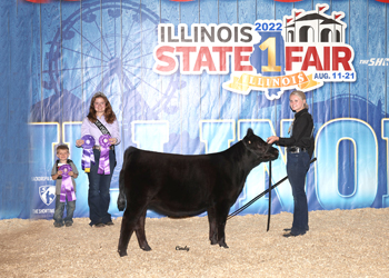 Junior Heifer Calf Champion