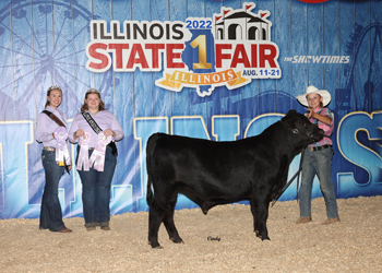 Reserve Junior Bull Calf Champion