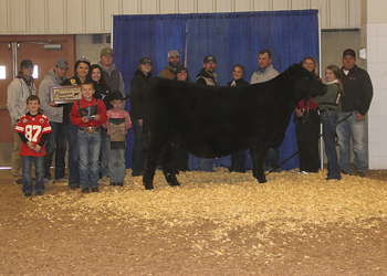 Grand Champion Owned Female