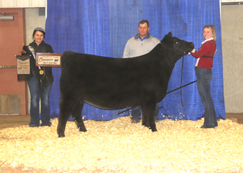 Grand Champion Bred-and-owned Female