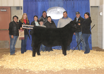 Reserve Grand Champion Steer