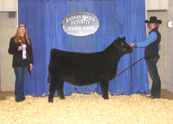 Bred-and-owned Reserve Summer Heifer Calf Champion