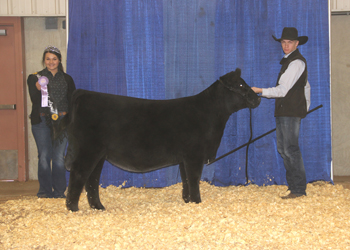 Owned Reserve Summer Heifer Calf Champion