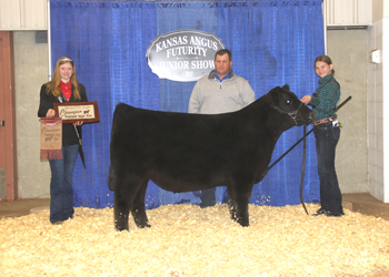 Grand Champion Steer