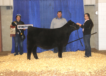 Reserve Grand Champion Bred-and-owned Female