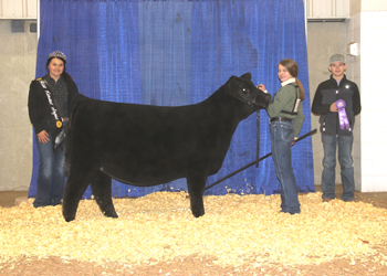 Bred-and-owned Junior Heifer Calf Champion