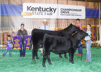 Grand Champion Cow-calf Pair