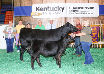 Reserve Grand Champion Cow-calf Pair