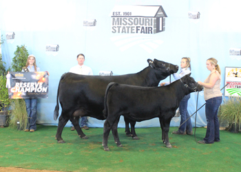 Reserve Grand Champion Cow-calf Pair