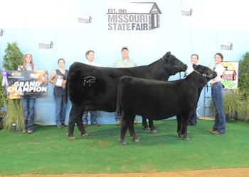 Grand Champion Cow-calf Pair
