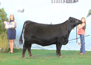 Reserve Senior Champion Female