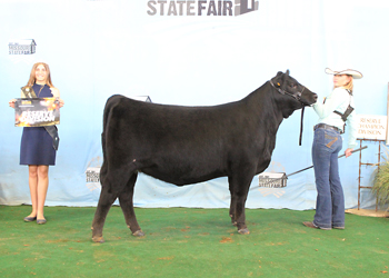 Reserve Early Senior Heifer Calf Champion