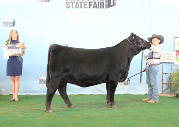 Reserve Intermediate Champion Heifer
