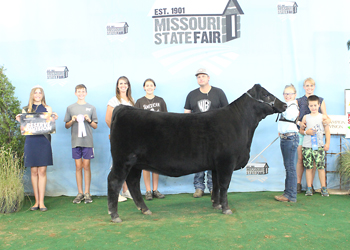 Reserve Late Junior Champion Heifer