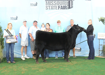 Intermediate Champion Heifer