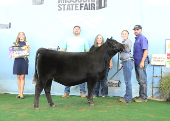 Early Senior Heifer Calf Champion