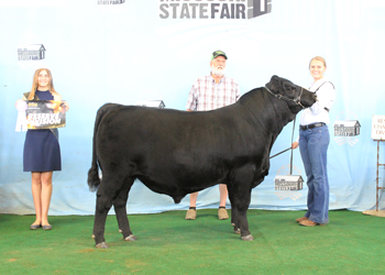 Reserve Intermediate Champion Bull