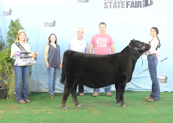 Junior Heifer Calf Champion