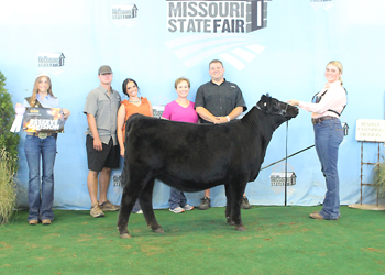 Reserve Late Senior Heifer Calf Champion
