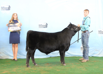 Junior Bull Calf Champion