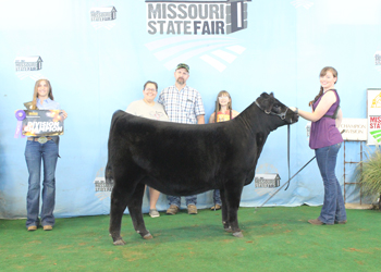 Late Senior Heifer Calf Champion