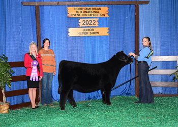 Bred-and-owned Junior Heifer Calf Champion