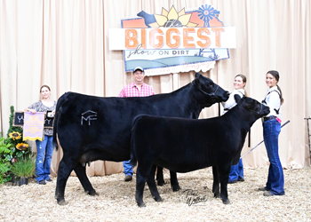 Bred-and-owned Reserve Champion Mature Cow-calf Pair