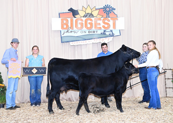 Bred-and-owned Reserve Champion Two-year-old Cow-calf Pair