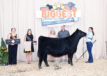 Bred-and-owned Reserve Late Junior Champion Heifer
