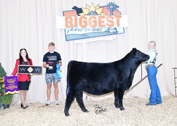 Owned Heifer Calf Champion Division 3