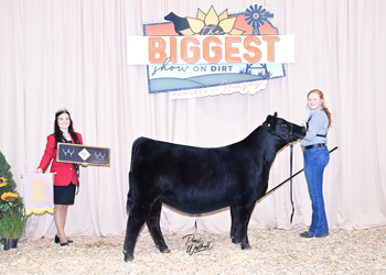 Owned Reserve Heifer Calf Champion Division 3