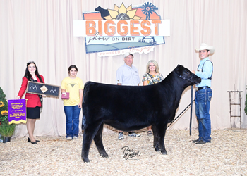 Owned Heifer Calf Champion Division 2