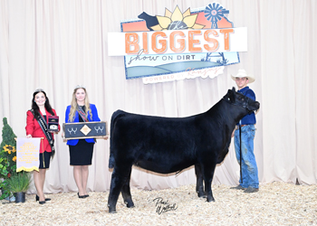 Bred-and-Owned Reserve Early Heifer Calf Champion