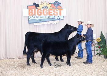 Owned Cow-calf Class 5