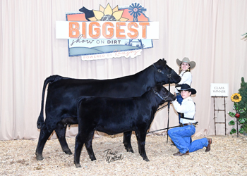 Owned Cow-calf Class 2