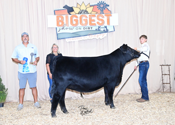 Owned Heifer Class 45