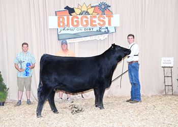 Owned Heifer Class 54