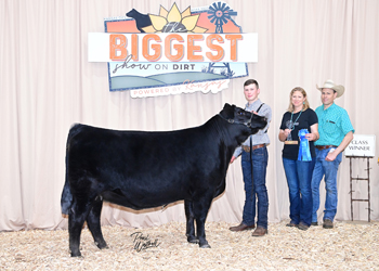 Bred-and-owned Heifer Class 21
