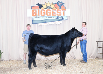 Owned Heifer Class 35