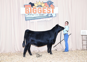 Owned Heifer Class 21