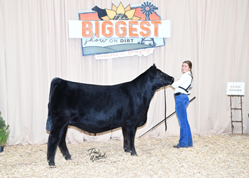 Owned Heifer Class 40