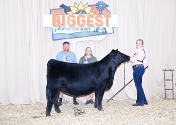 Owned Heifer Class 30