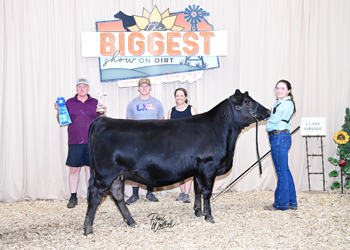 Phenotype & Genotype Heifer Class 9