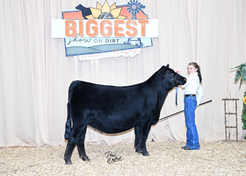 Owned Heifer Class 27